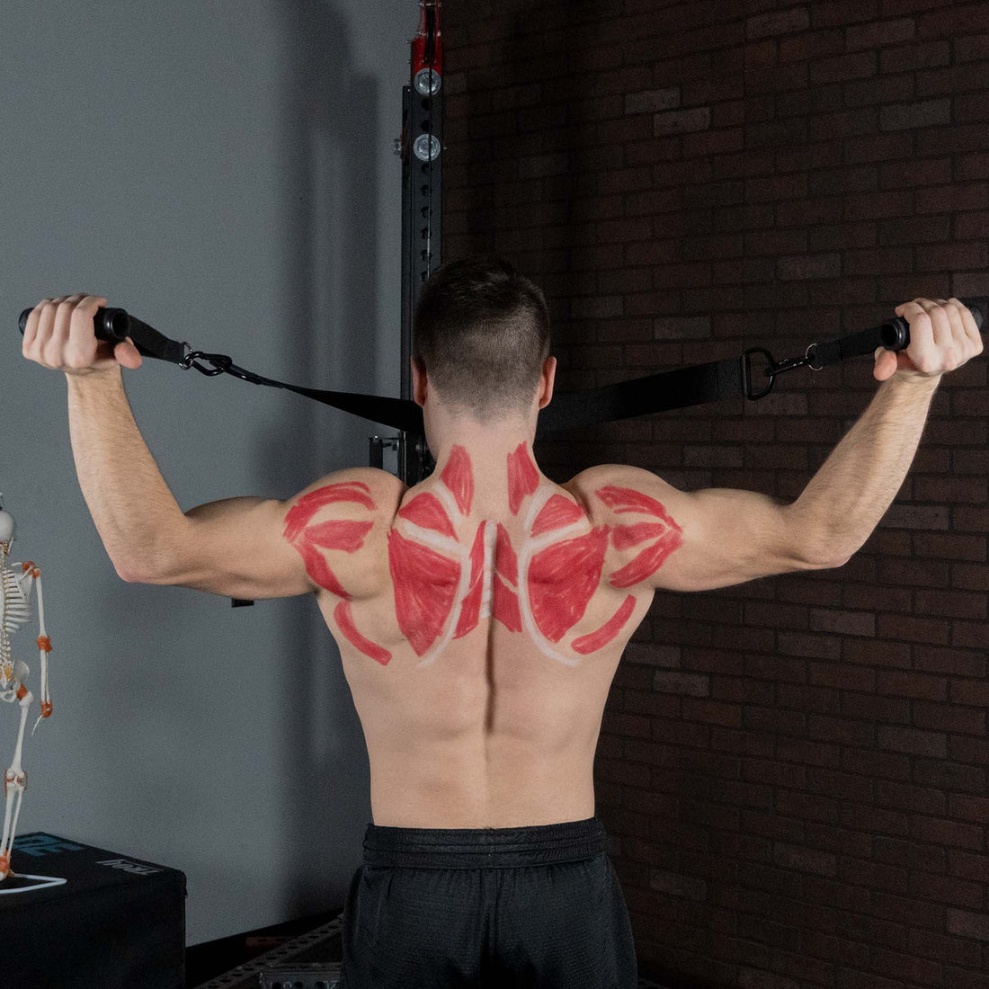 Scap Strap Prescription for Strong and Stable Shoulders