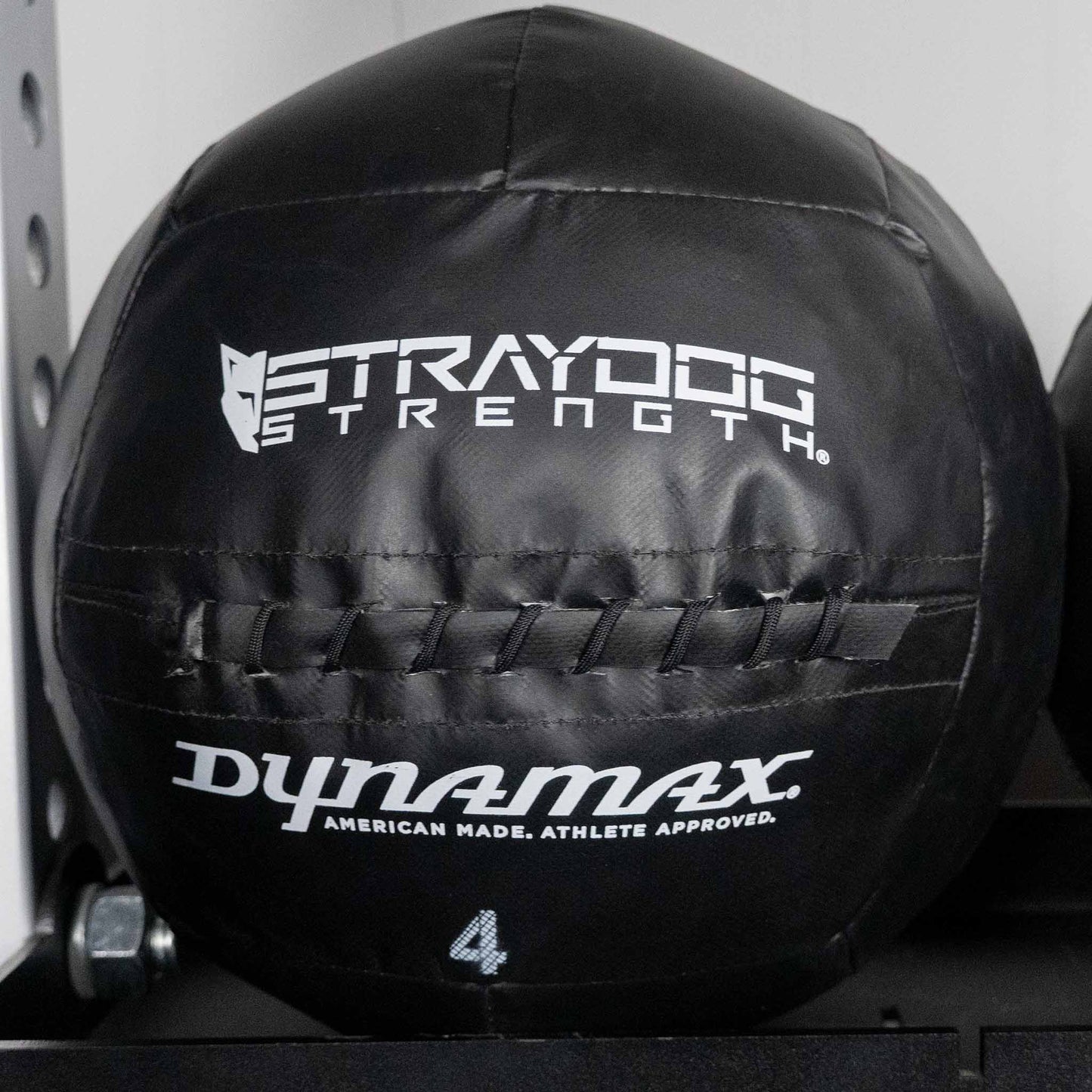 SDS Logo Dynamax Balls