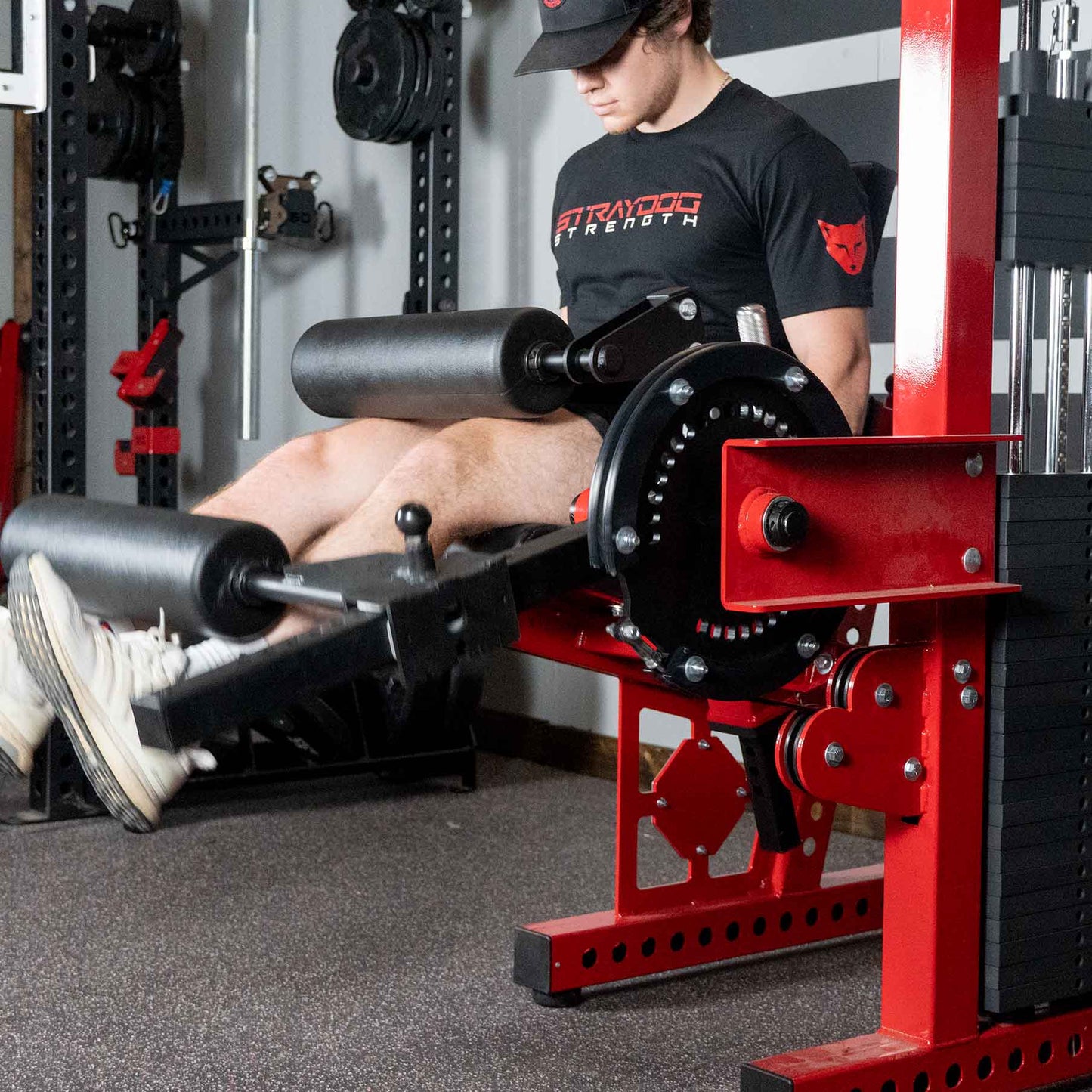 Selectorized Seated Leg Curl/Extension