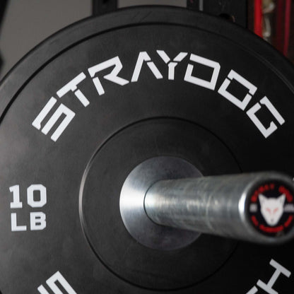 Stray Dog Strength Competition Bumpers