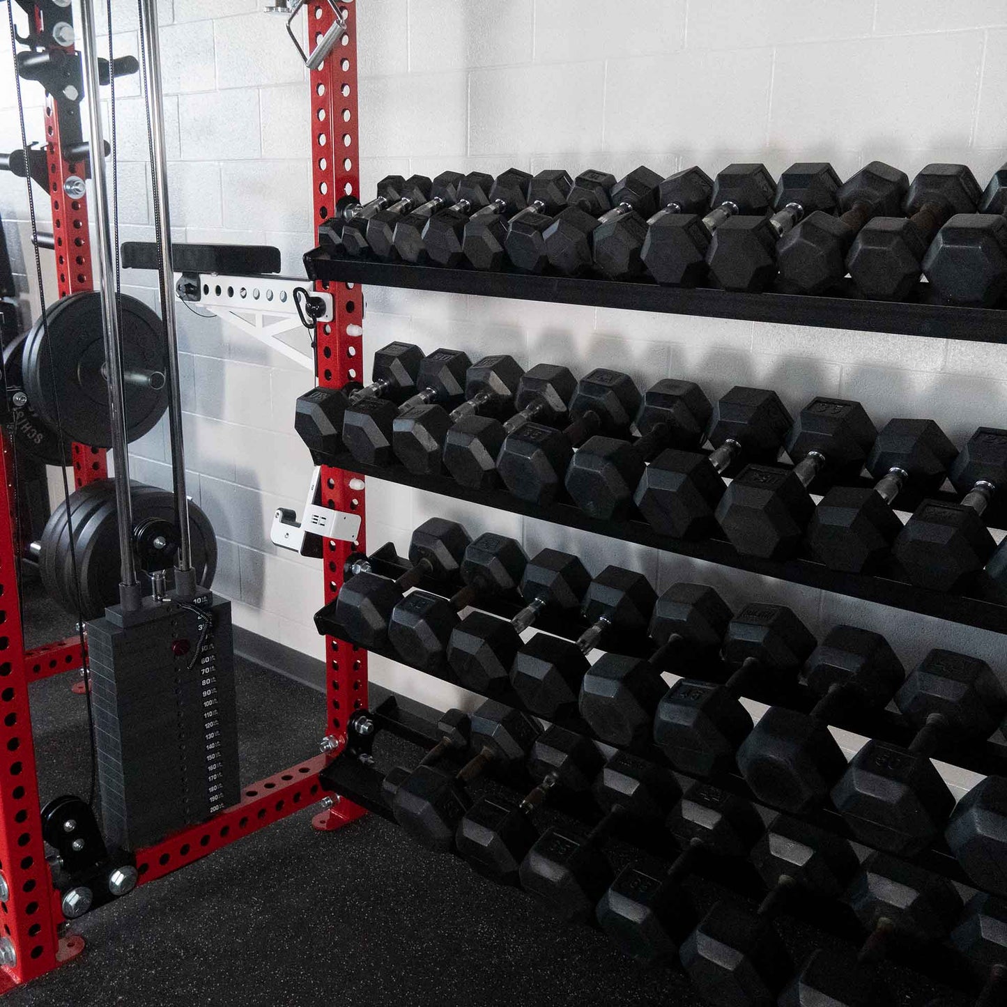 Dumbbell Trays