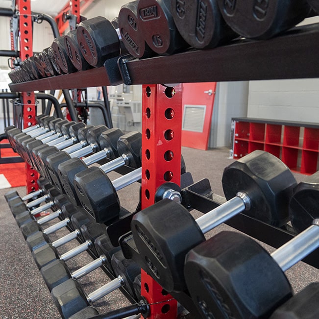 Dumbbell Trays