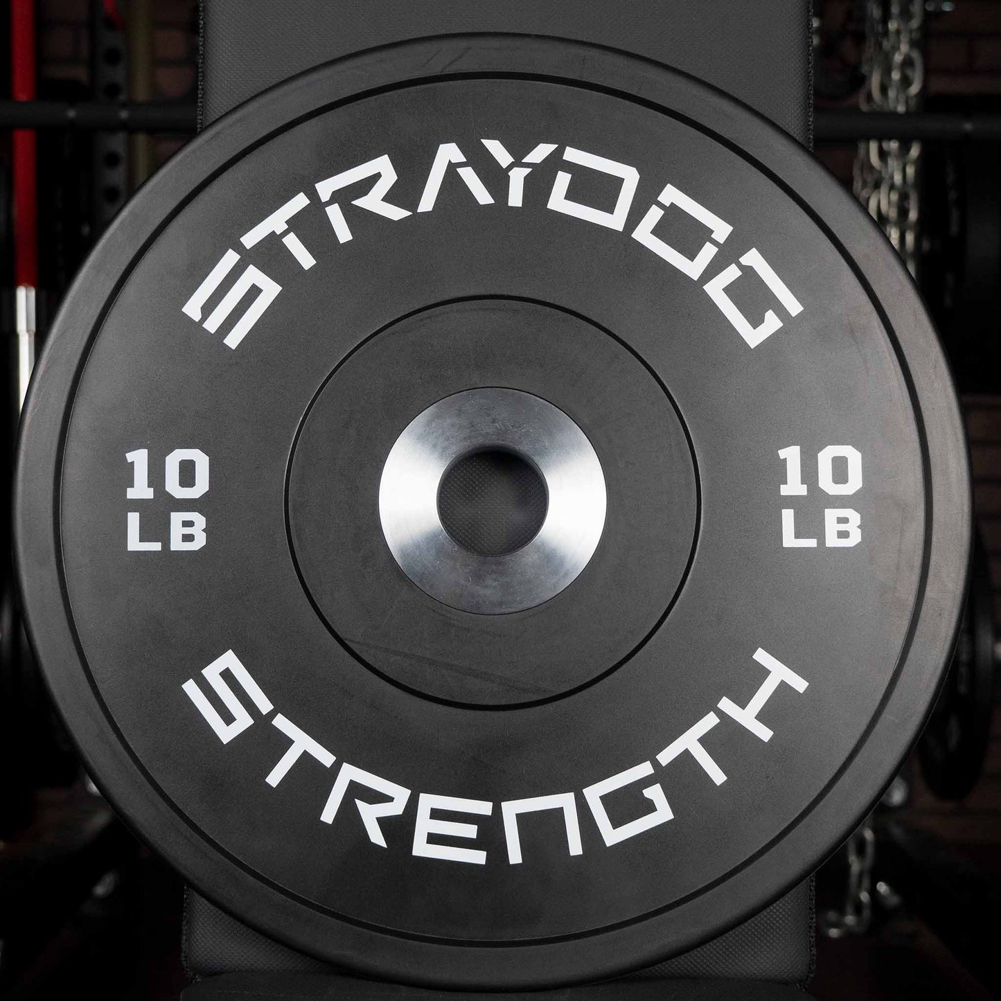 Stray Dog Strength Competition Bumpers