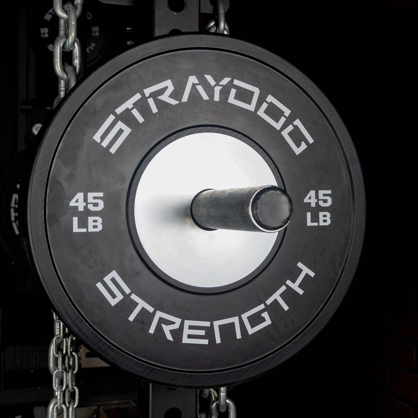 Stray Dog Strength Competition Bumpers