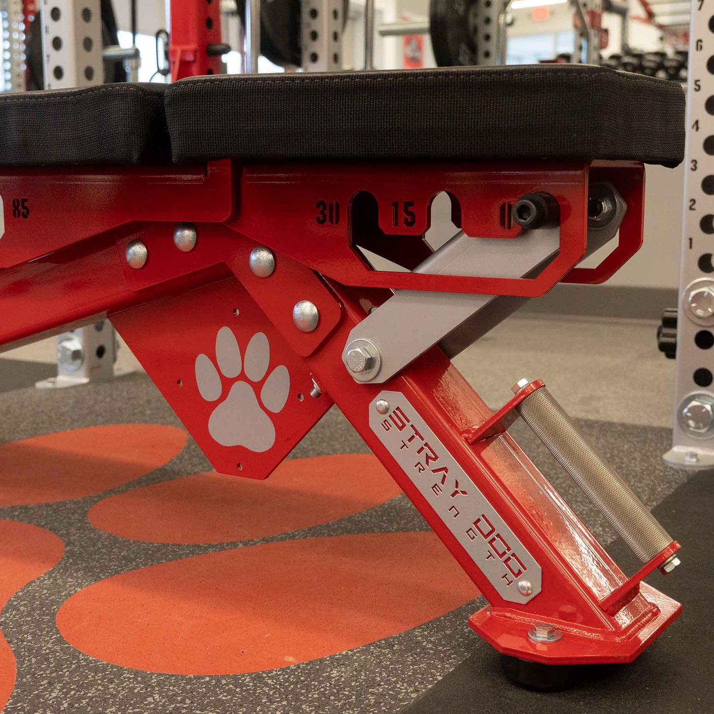 Alpha Bench Decal Logo