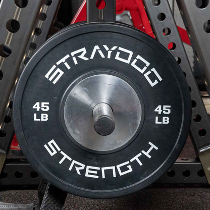 Stray Dog Strength Competition Bumpers