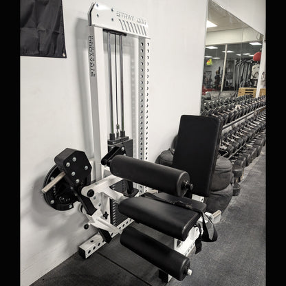 Selectorized Seated Leg Curl/Extension