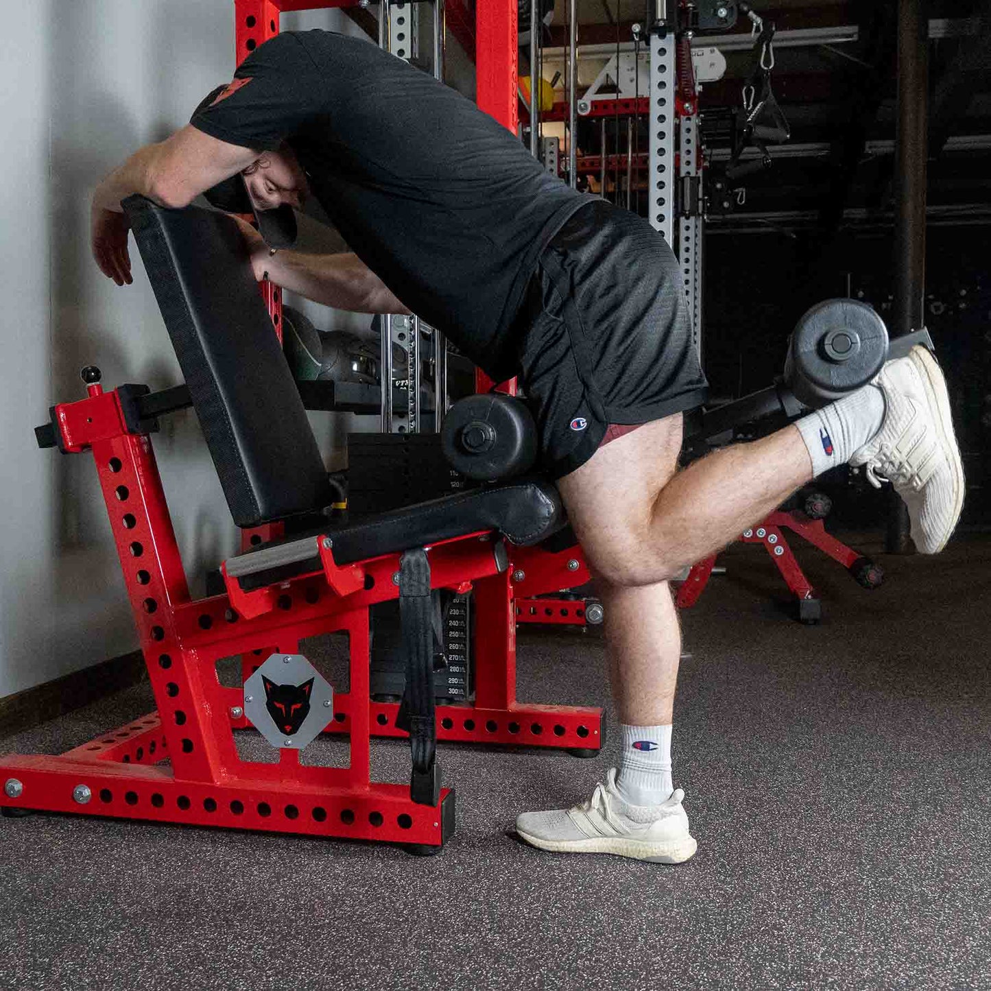 Selectorized Seated Leg Curl/Extension